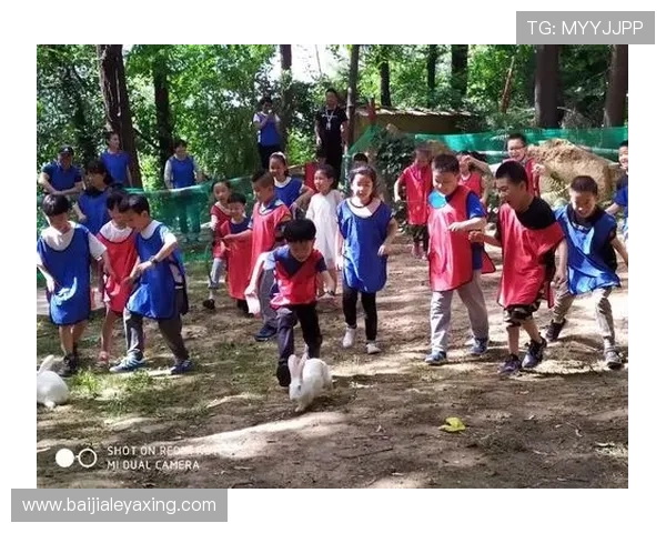 新濠真人大全帮助玩家选择最适合自己的真人娱乐游戏类型