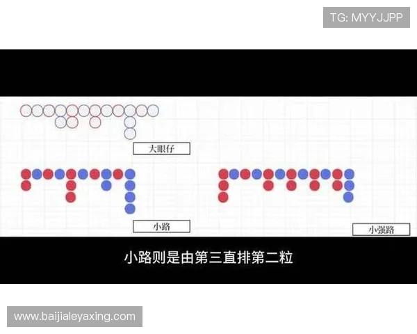 如何正确理解百家乐小强路怎么看，帮助玩家做出更科学的下注决策